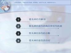 臂丛神经损伤课件