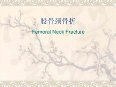 股骨颈骨折课件