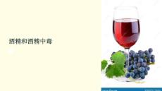 《酒精和酒精中毒》课件