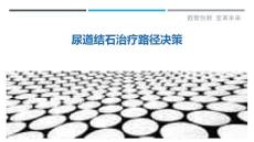 尿道结石治疗路径决策-详解洞察