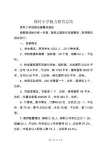 徐村小學魅力教育總結