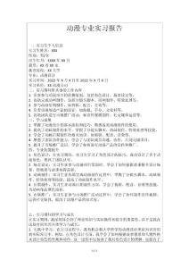 动漫专业实习报告