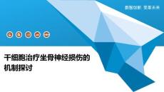 干细胞治疗坐骨神经损伤的机制探讨-深度研究