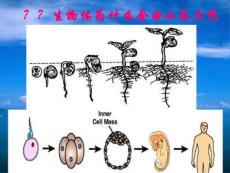 细胞通过分裂产生新细胞