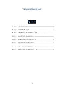下肢神经损伤修复技术-深度研究