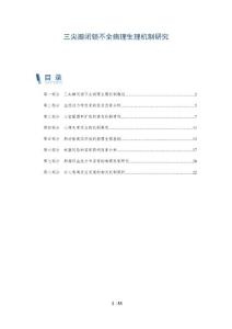 三尖瓣闭锁不全病理生理机制研究-深度研究