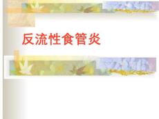 反流性食管炎【78页】