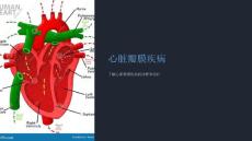 《心脏瓣膜疾病》教学课件