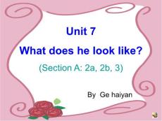 Unit 7 What does he look like？课件