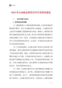 2025年大动脉支架项目可行性研究报告