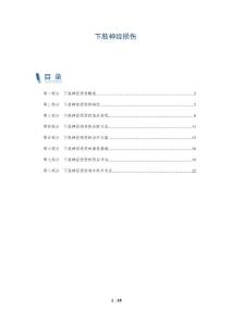 下肢神经损伤-洞察分析
