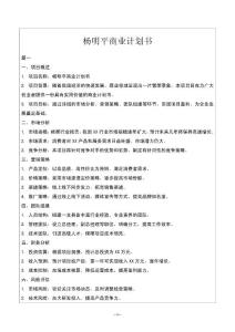 楊明平商業計劃書