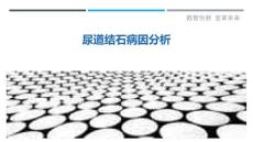 尿道结石病因分析-详解洞察