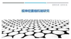 视神经萎缩机制研究-详解洞察