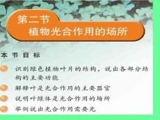 绿色植物的叶片一般呈绿色的扁平的在空间中展放开来