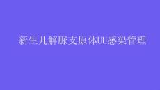 新生儿解脲支原体UU感染管理2025