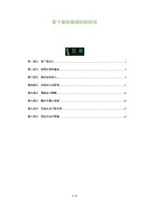 胃下垂的病理机制研究-全面剖析