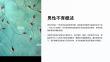 《男性不育概述》课件