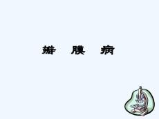 瓣膜病basicshsmueducn