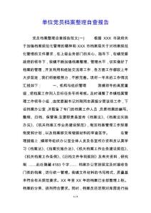 單位黨員檔案整理自查報告