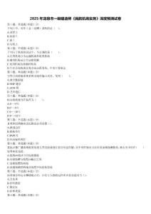 2025年龙泉市一级建造师《民航机场实务》深度预测试卷含解析