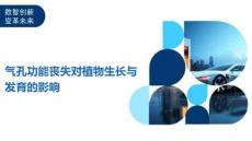 气孔功能丧失对植物生长与发育的影响-全面剖析