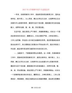 2017年大學教師年度個人思想總結