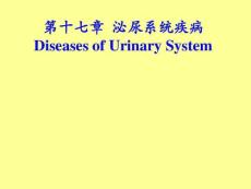 病理学肾小球肾炎与肾盂肾炎