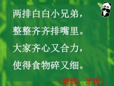 龋齿课件