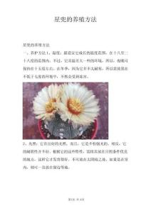 星兜的養(yǎng)殖方法