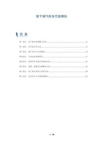 地下储气库多尺度模拟-详解洞察