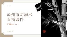 滄州市防溺水直播課件