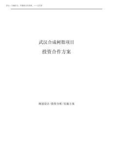 2025年武漢合成樹脂項目投資合作方案_圖文