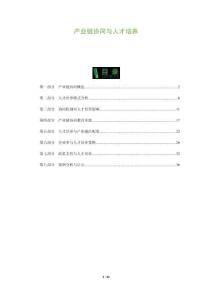 產(chǎn)業(yè)鏈協(xié)同與人才培養(yǎng)-全面剖析