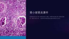 《肾小球肾炎》课件