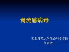 禽流感课件