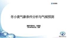 202504冬小麦气象条件分析与气候预测-国家气象中心