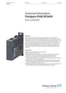 E+H恩德斯·豪斯 Fieldgate PAM SFG600技術(shù)手冊