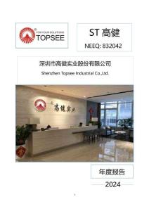 ST高?。?024年年度報告