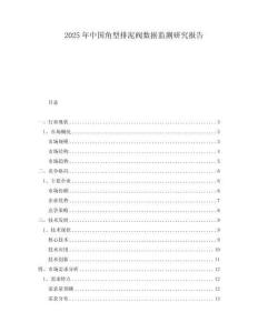 2025年中國角型排泥閥數(shù)據(jù)監(jiān)測研究報告