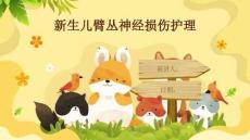新生儿臂丛神经损伤护理