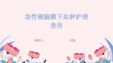 急性硬脑膜下血肿护理查房
