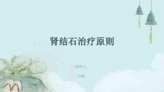肾结石治疗原则