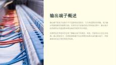 《輸出端子概述》課件