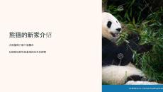 《熊貓的新家介紹》課件