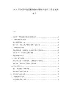 2025年中国车流量检测仪市场现状分析及前景预测报告