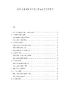 2025年中国喷塑铁窗纱市场调查研究报告