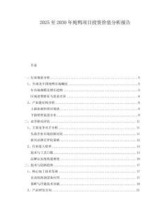2025至2030年炖鸭项目投资价值分析报告