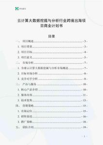 云计算大数据挖掘与分析行业跨境出海项目商业计划书