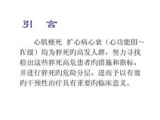 探讨窦性心律不齐的震荡现象培训课件